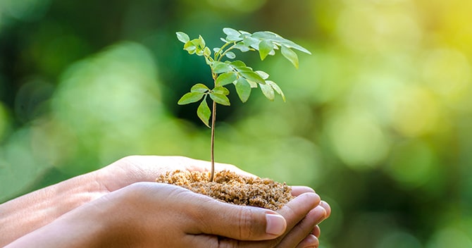 通过业务为环境作贡献